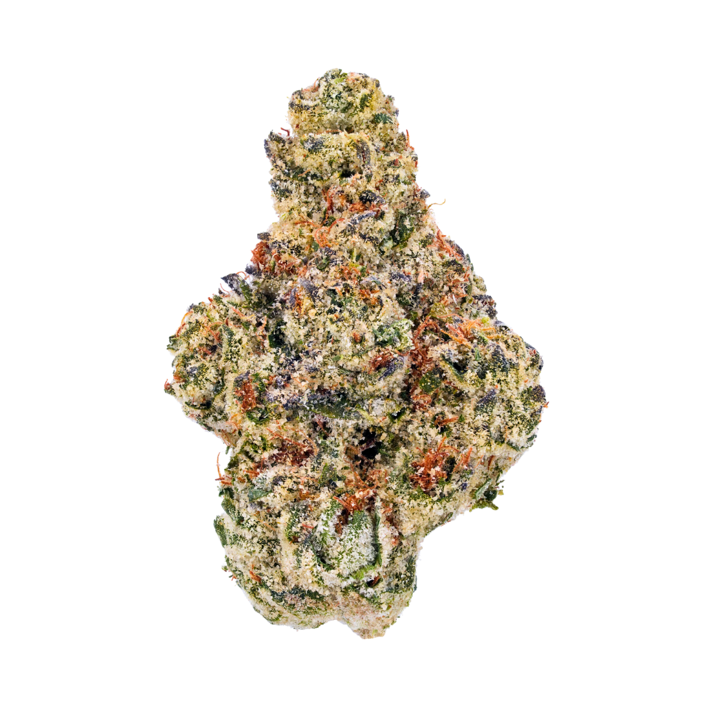 Biscotti Sherbet