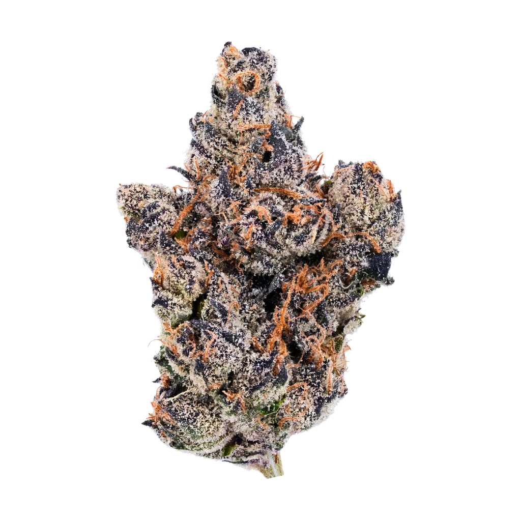 Lemon Cherry Gelato